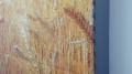 20161028_100920.jpg